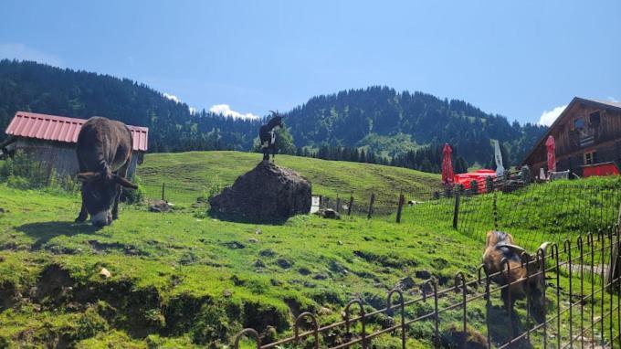 Jausenstation Neuschwand Villa Hittisau Luaran gambar