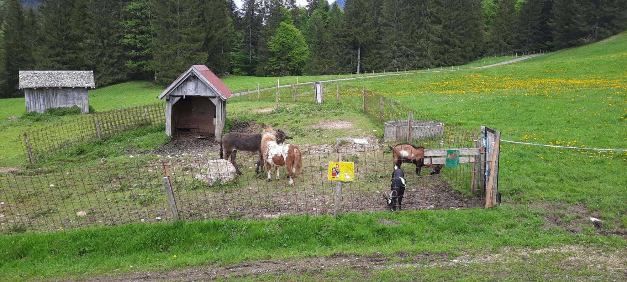 Jausenstation Neuschwand Villa Hittisau Luaran gambar