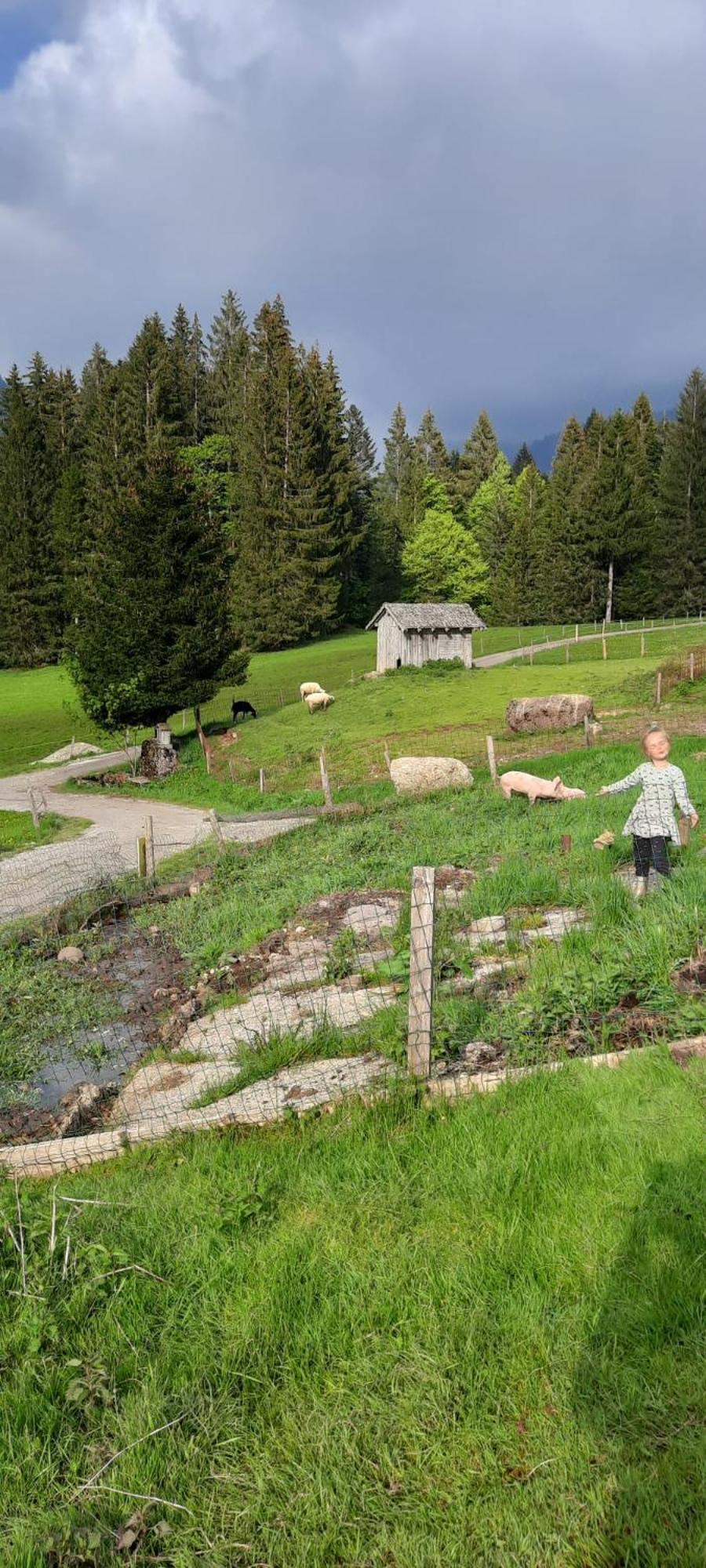 Jausenstation Neuschwand Villa Hittisau Luaran gambar