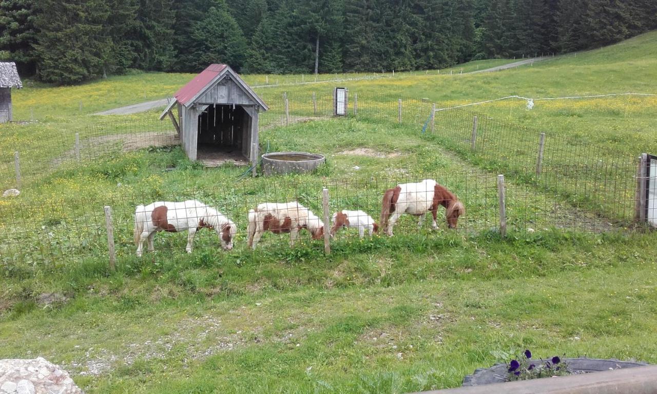 Jausenstation Neuschwand Villa Hittisau Luaran gambar